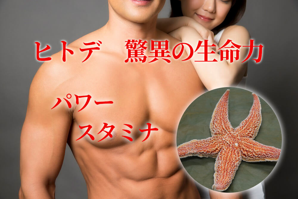 ヒトデ　驚異の生命力