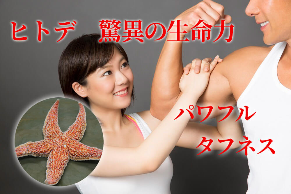 ヒトデ　驚異の生命力